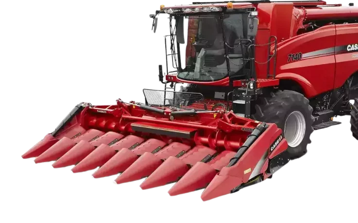 becs-cueilleurs-a-mais-9.png