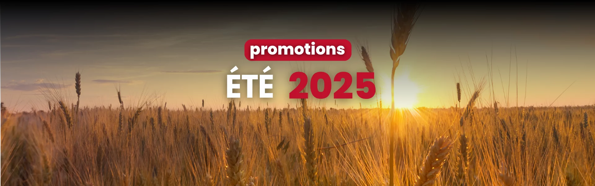 Copie de slide (1).png