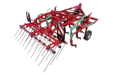 Cultivateur à dents