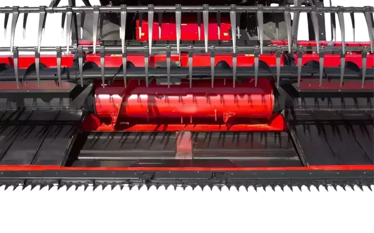 tapis-7.png