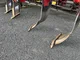 Matériels d'élevage QUIVOGNE SCD 300-4