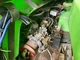 PULVE.TECNOMA FORTIS 4300