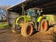 Tracteur CLAAS AXION 800