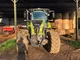 Tracteur CLAAS AXION 800